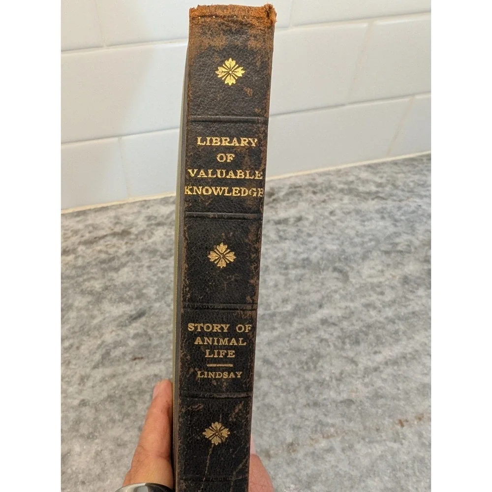 Library Of Valuable‎ Knowledge: Story Of Animal Life Hardcover Book